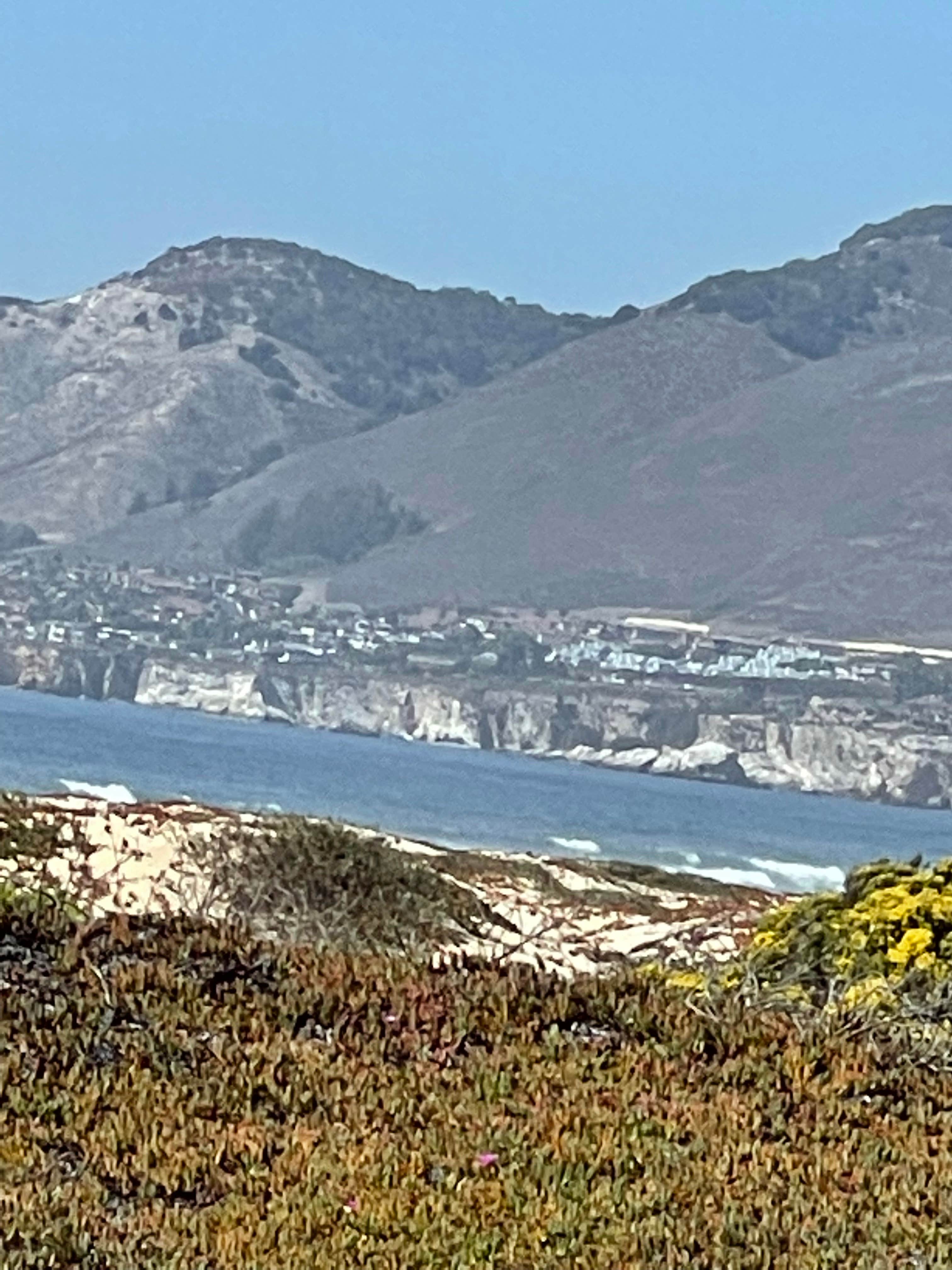 Vicki S.'s photo of camping with pets at Oceano Campground — Pismo State Beach near Lompoc, CA