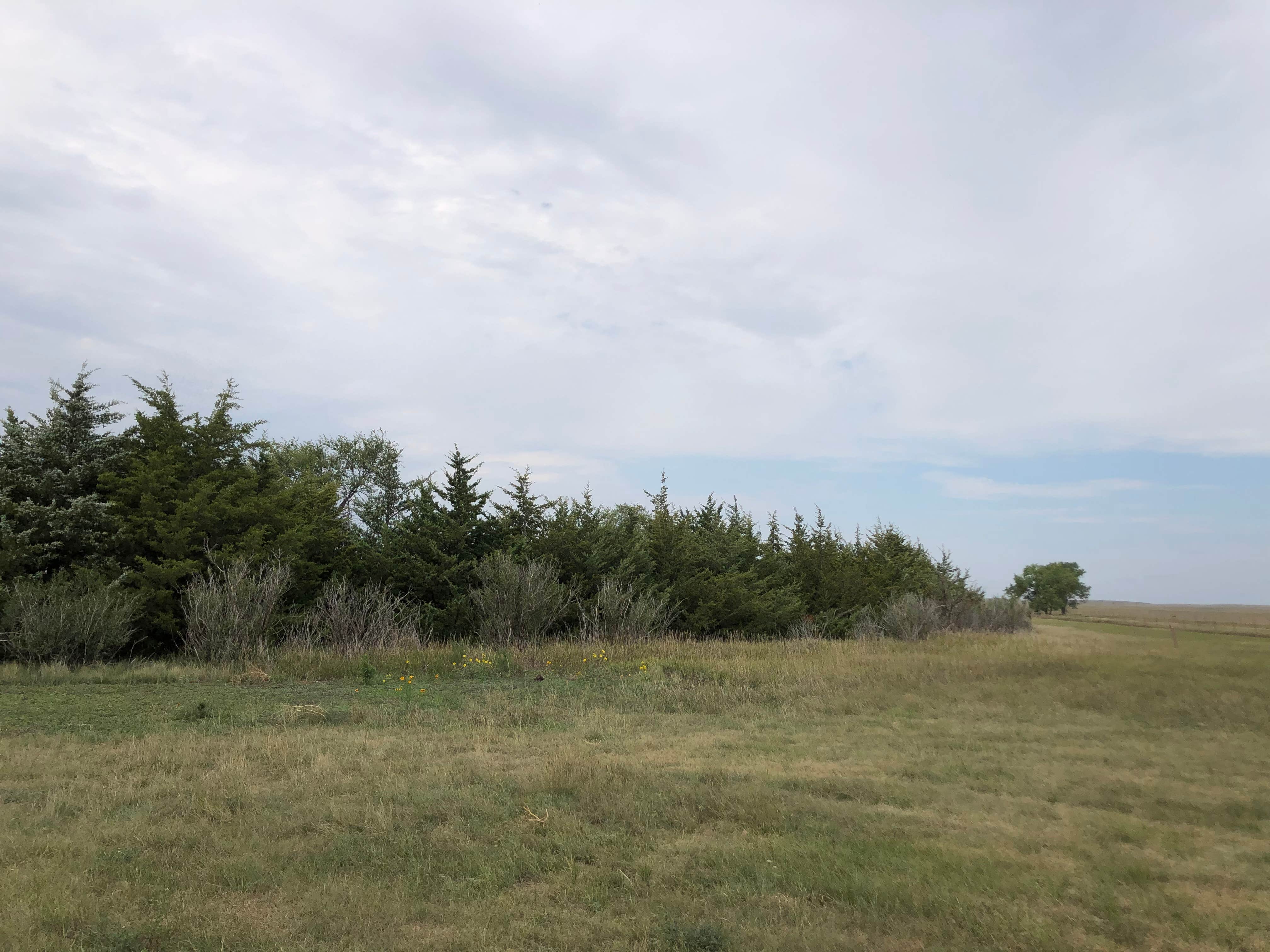 Camper-submitted photo at Fort Pierre National Grassland Dispersed Camping near Fort Pierre, SD