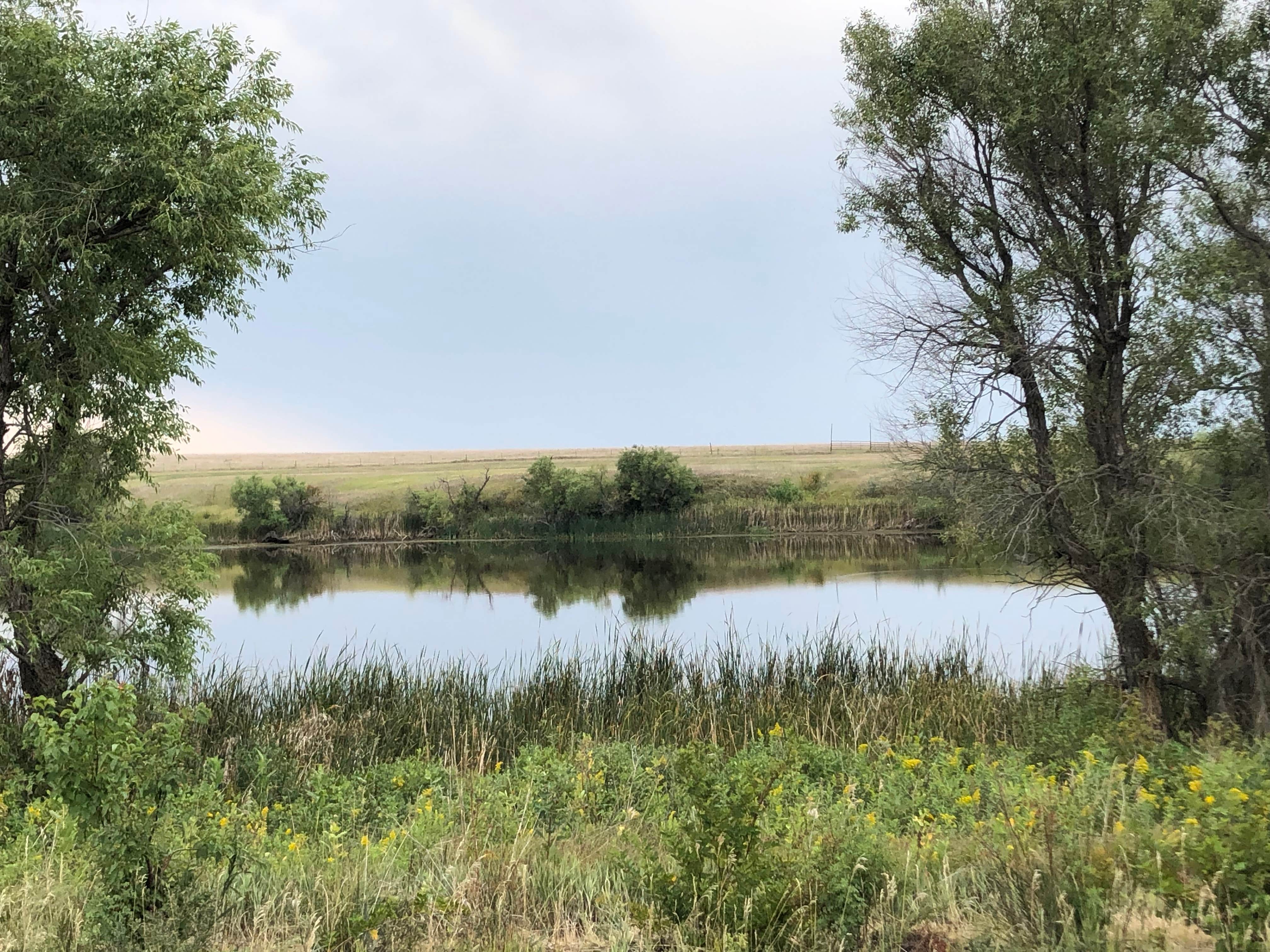 N I.'s photo of a dispersed camping area at Fort Pierre National Grassland Dispersed Camping near Pierre, SD