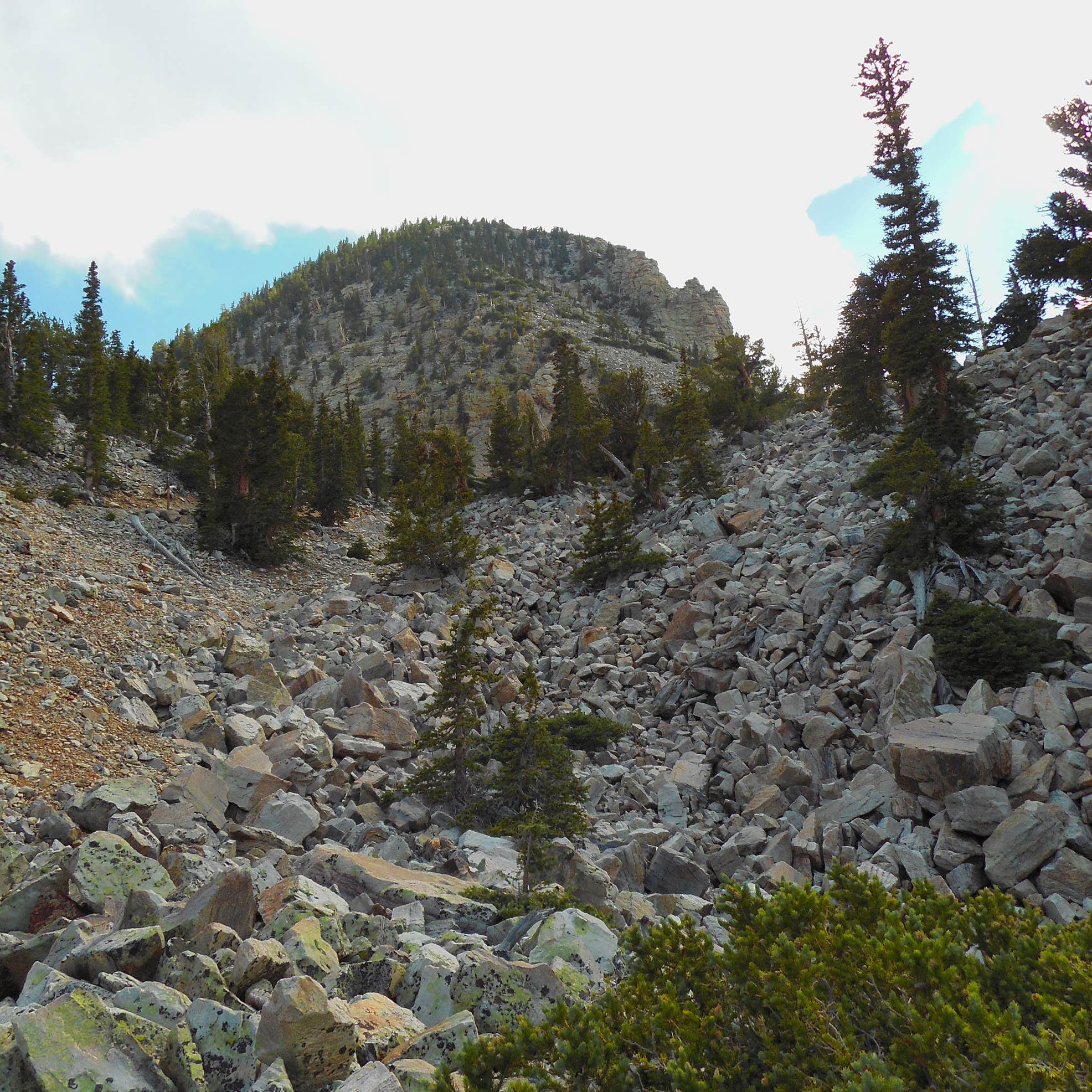 Wheeler Peak Campground Camping | The Dyrt