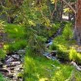 Review photo of Wheeler Peak Campground — Great Basin National Park by Tom K., July 1, 2018