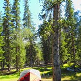 Review photo of Wheeler Peak Campground — Great Basin National Park by Tom K., July 1, 2018