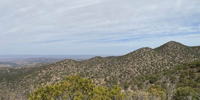 Camper submitted image from Upper Bonito Dispersed Recreation Area