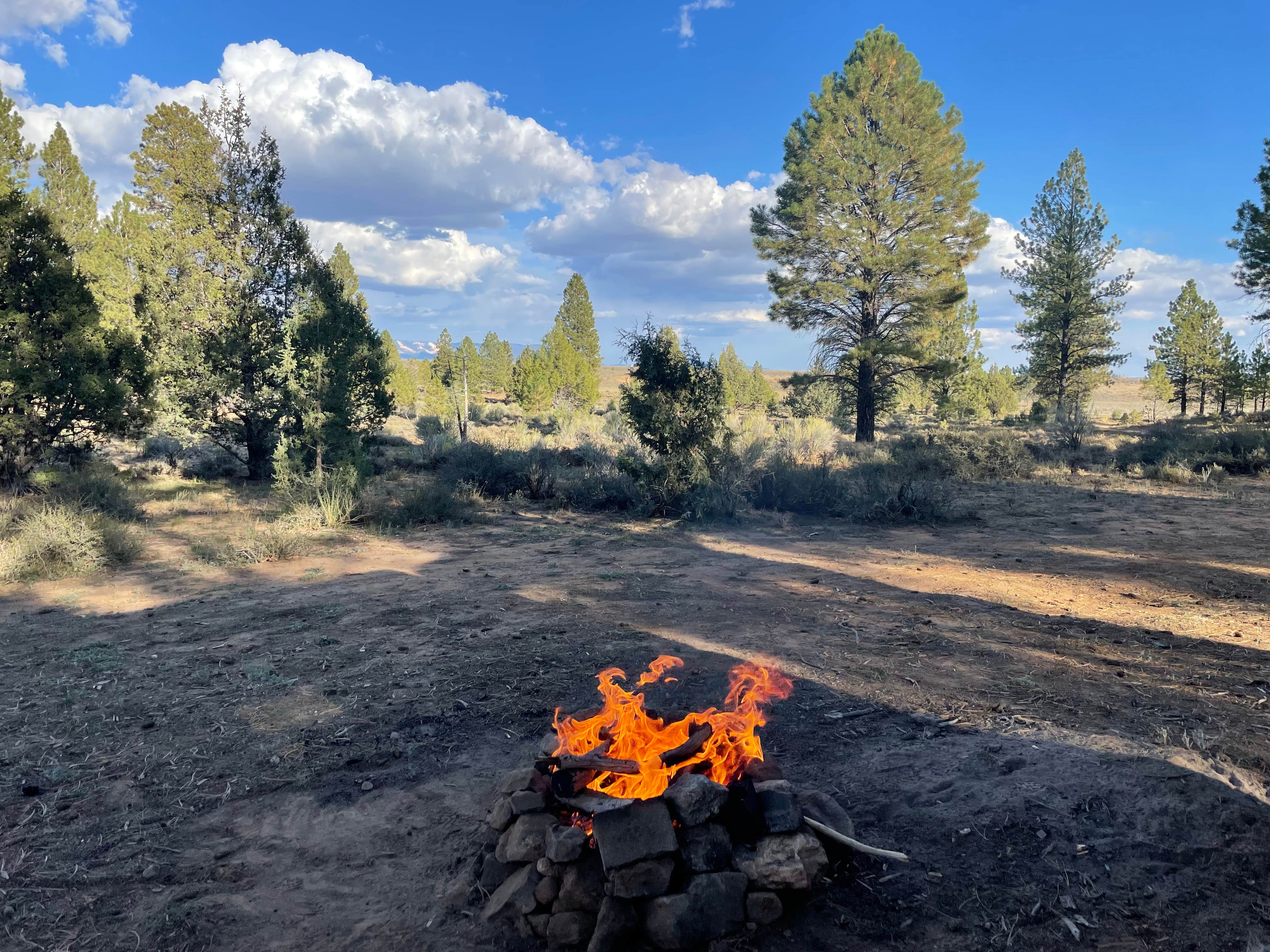 Camper-submitted photo at FR3623 Dispersed near Panguitch, UT