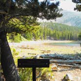 Review photo of Wheeler Peak Campground — Great Basin National Park by Tom K., July 1, 2018