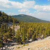 Review photo of Wheeler Peak Campground — Great Basin National Park by Tom K., July 1, 2018