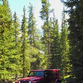 Review photo of Wheeler Peak Campground — Great Basin National Park by Tom K., July 1, 2018