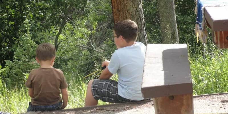 Camper submitted image from Lincoln Park Campground