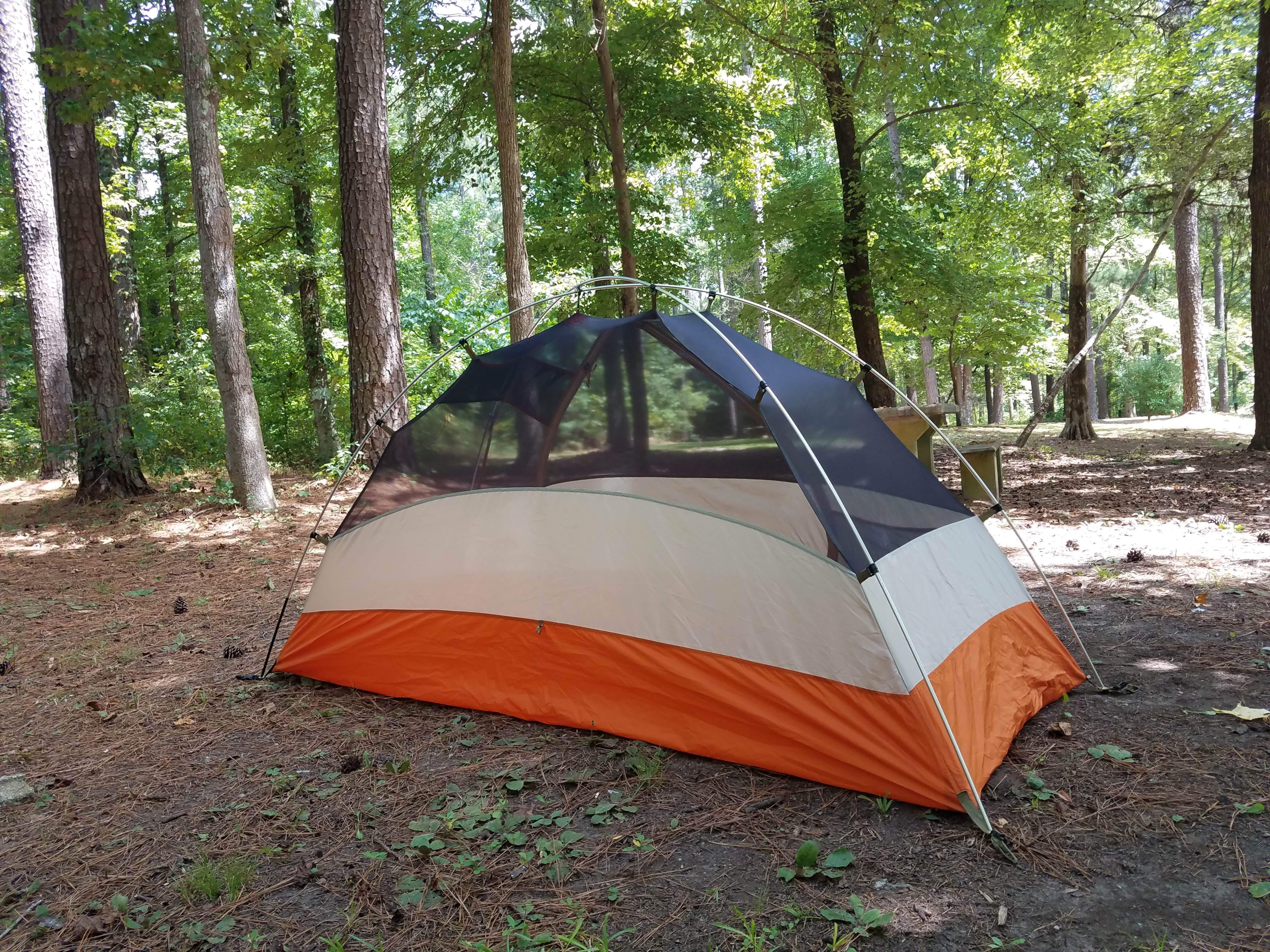 Myron C.'s photo at Brick House Campground (Sc) — Francis Marion And Sumter National Forests near Cross Anchor, SC