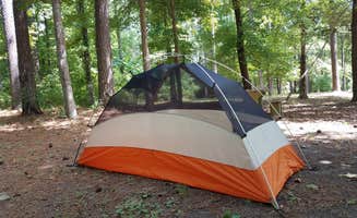 Myron C.'s photo at Brick House Campground (Sc) — Francis Marion And Sumter National Forests near Kinards, SC