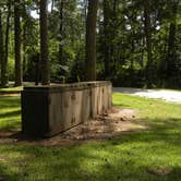 Review photo of Brick House Campground (Sc) — Francis Marion And Sumter National Forests by Myron C., October 1, 2021