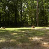 Review photo of Brick House Campground (Sc) — Francis Marion And Sumter National Forests by Myron C., October 1, 2021