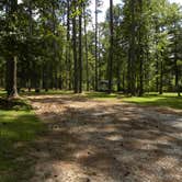 Review photo of Brick House Campground (Sc) — Francis Marion And Sumter National Forests by Myron C., October 1, 2021