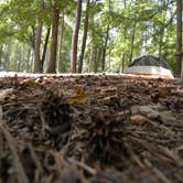 Review photo of Brick House Campground (Sc) — Francis Marion And Sumter National Forests by Myron C., October 1, 2021