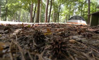 Myron C.'s photo at Brick House Campground (Sc) — Francis Marion And Sumter National Forests near Chapin, SC