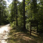 Review photo of Brick House Campground (Sc) — Francis Marion And Sumter National Forests by Myron C., October 1, 2021