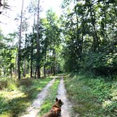 Review photo of Pinewoods Campground — Kettle Moraine State Forest-Southern Unit by Art S., October 1, 2021