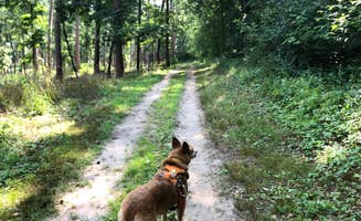 Art S.'s photo of camping with pets at Pinewoods Campground — Kettle Moraine State Forest-Southern Unit near Waukesha, WI