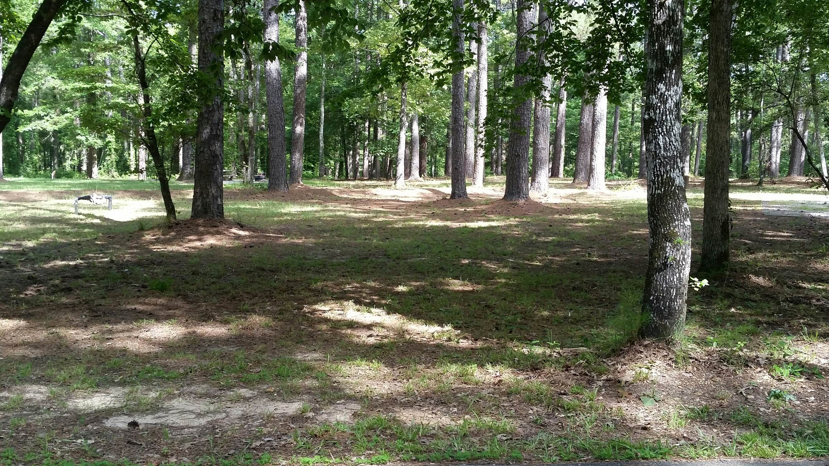 Camper-submitted photo at Stuart Complex near Lecompte, LA