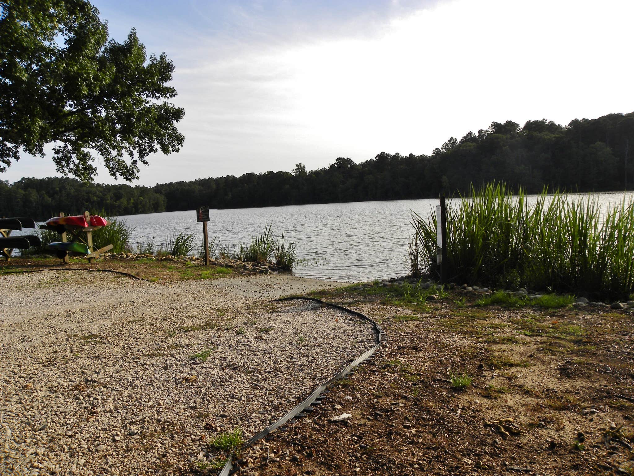 Camper submitted image from Chester State Park Campground - 3