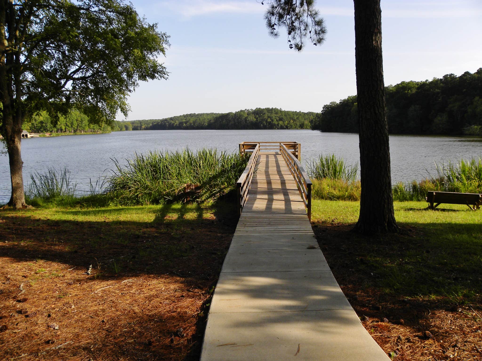 Camper-submitted photo at Chester State Park Campground near Rock Hill, SC
