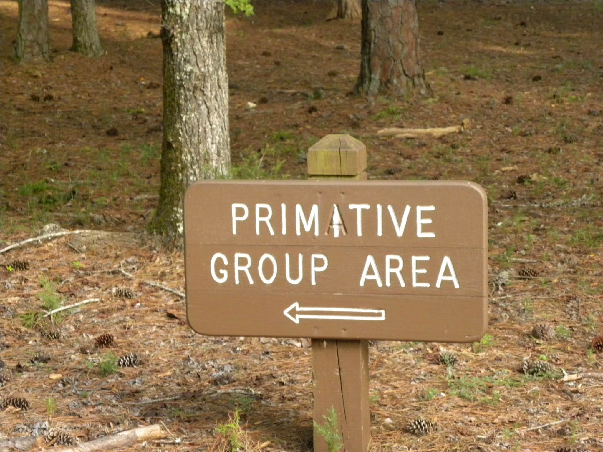 Camper-submitted photo at Chester State Park Campground near Rock Hill, SC