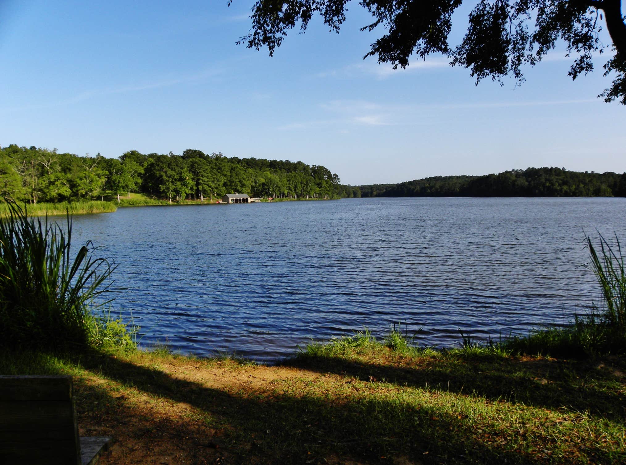 Camper submitted image from Chester State Park Campground - 2