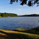 Review photo of Chester State Park Campground by Myron C., October 1, 2021