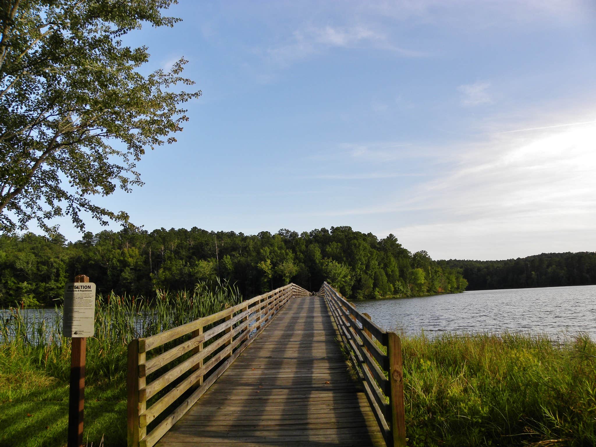 Camper submitted image from Chester State Park Campground - 3