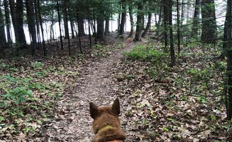 Art S.'s photo of camping with pets at Laura Lake Recreation Area near Summit Lake, WI