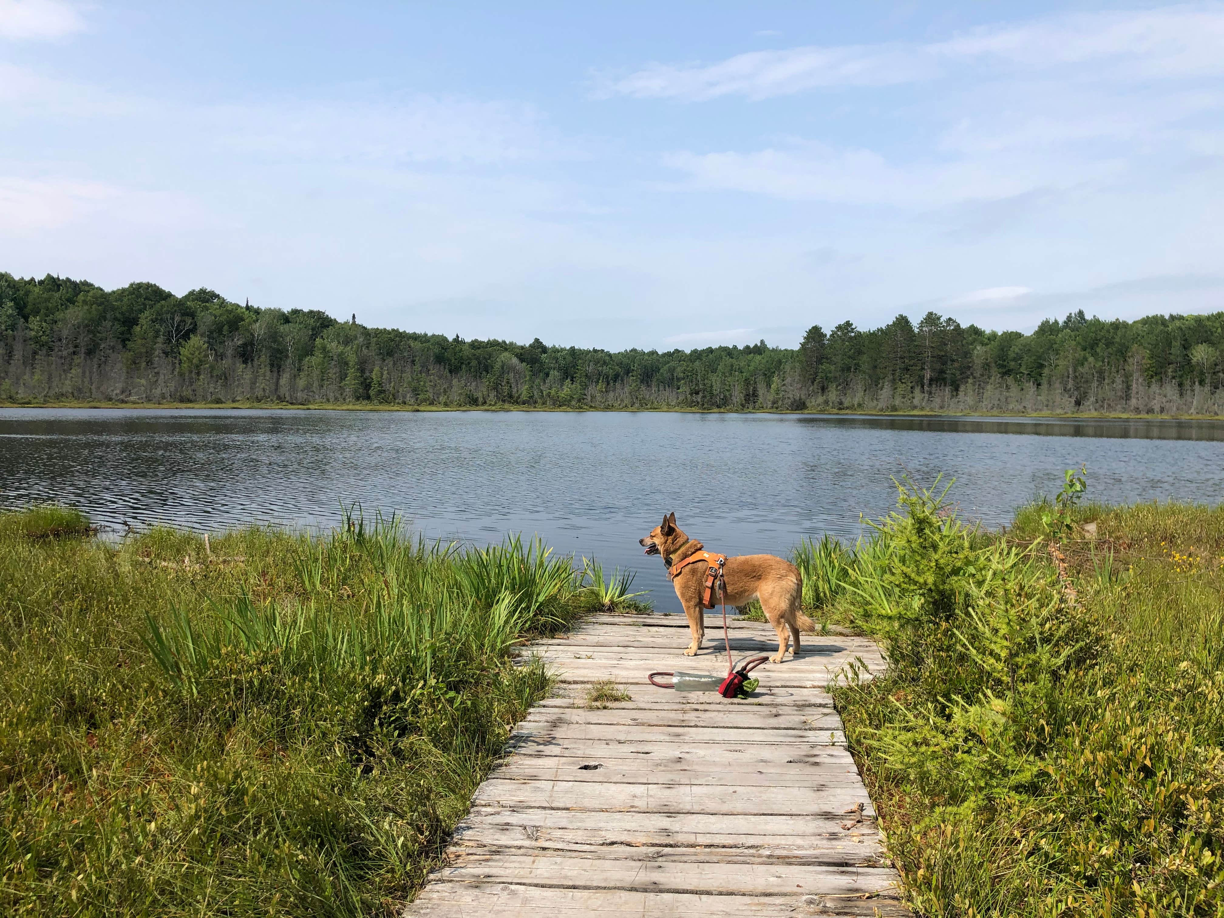 Camper submitted image from Laura Lake Recreation Area - 4