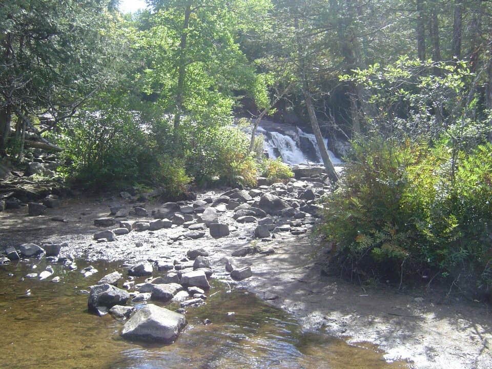 Camper submitted image from Lake Eaton Campground - 3