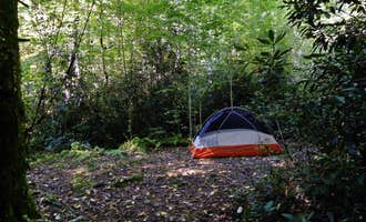 Camping near Balsam Mountain Campground — Great Smoky Mountains National Park: Site 40 — Great Smoky Mountains National Park, Maggie Valley, North Carolina