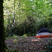 Review photo of Site 40 — Great Smoky Mountains National Park by Myron C., October 1, 2021