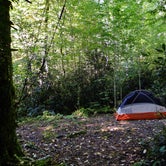 I set my tent up in one of the sites away from the bear scat.