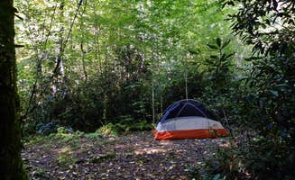 Myron C.'s photo of tent camping at Site 40 — Great Smoky Mountains National Park in North Carolina