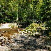 Review photo of Site 40 — Great Smoky Mountains National Park by Myron C., October 1, 2021