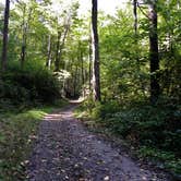 Review photo of Site 40 — Great Smoky Mountains National Park by Myron C., October 1, 2021