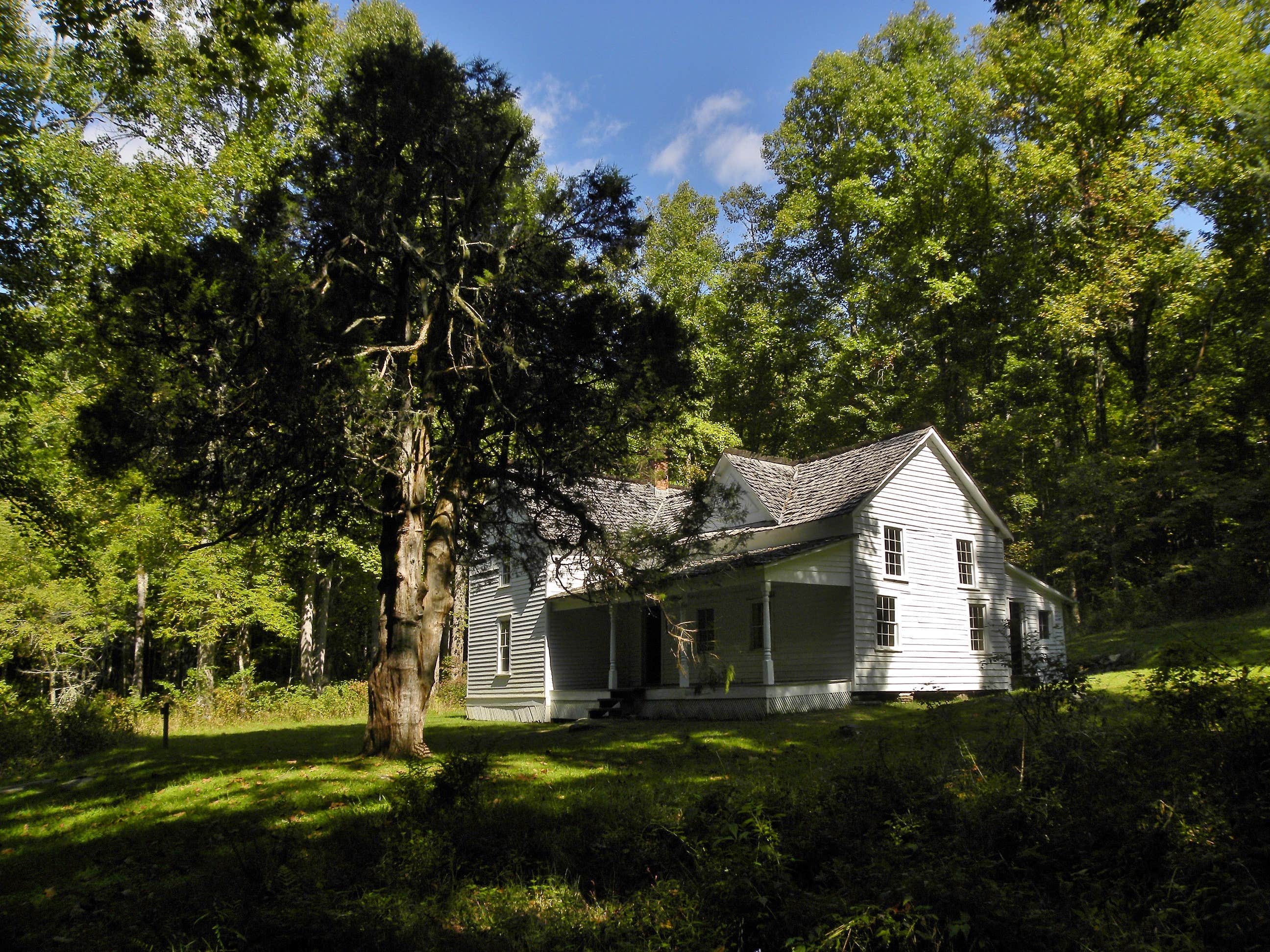 Camper submitted image from Site 40 — Great Smoky Mountains National Park - 3