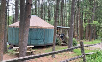Carmie's photo of glamping accommodations at Happy Acres Resort near Cogan Station, PA