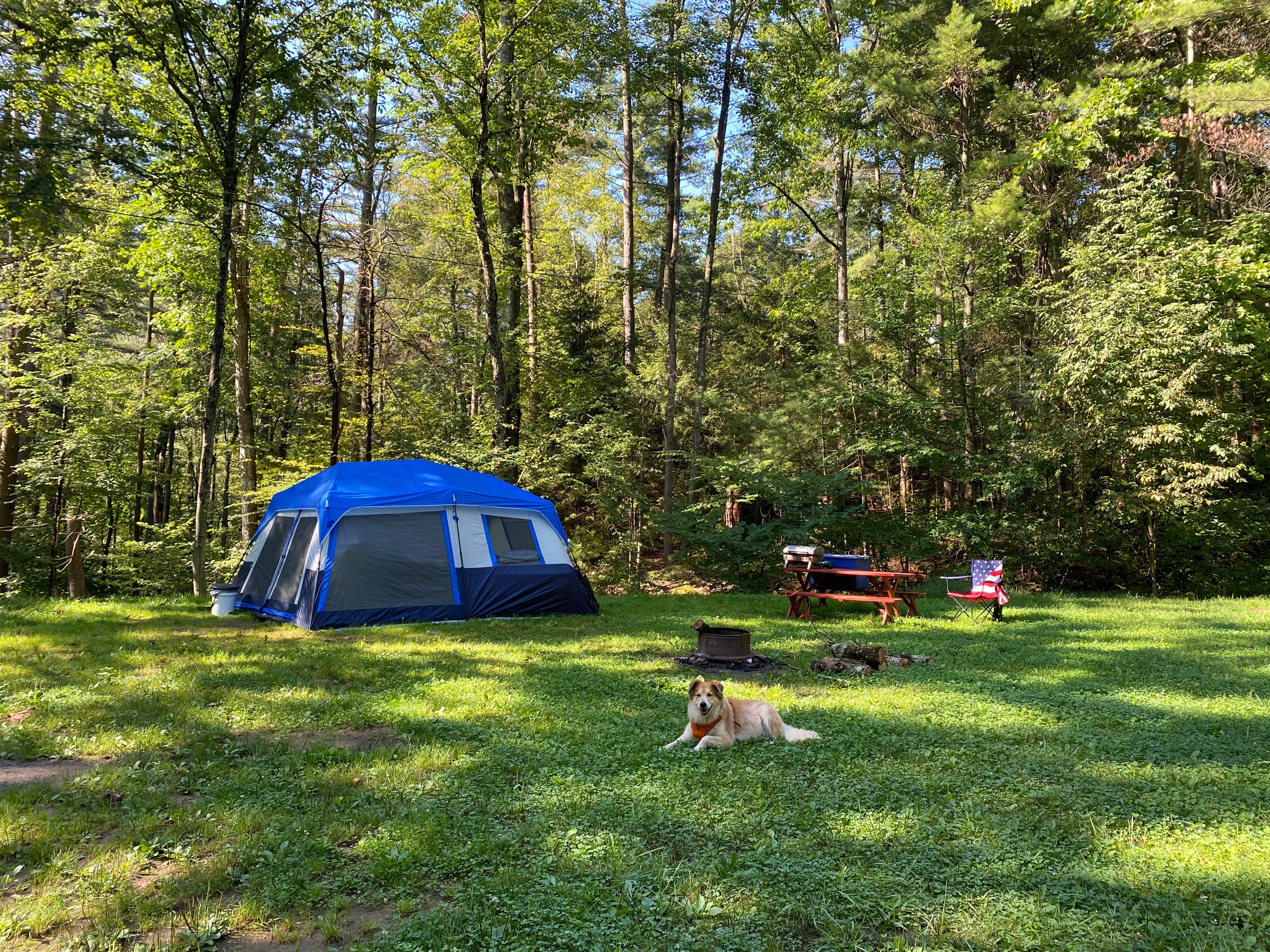 Carmie's photo of camping with pets at Happy Acres Resort near Tioga-Hammond Lakes