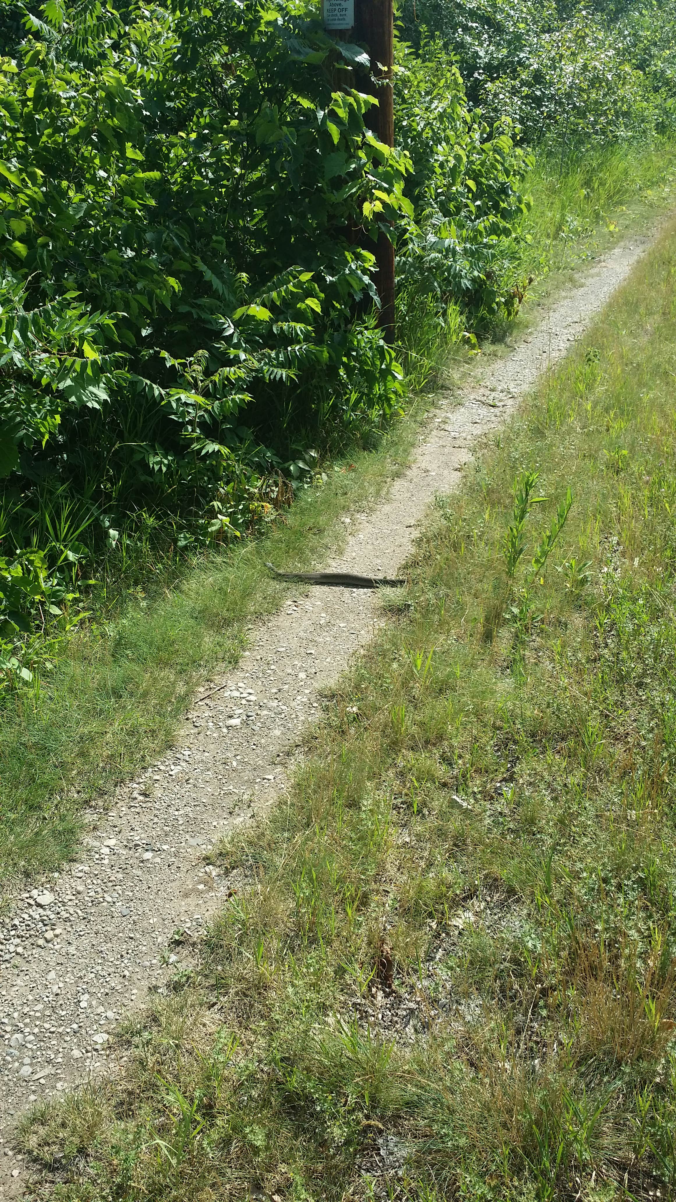 Camper submitted image from Marinette City Park - 3