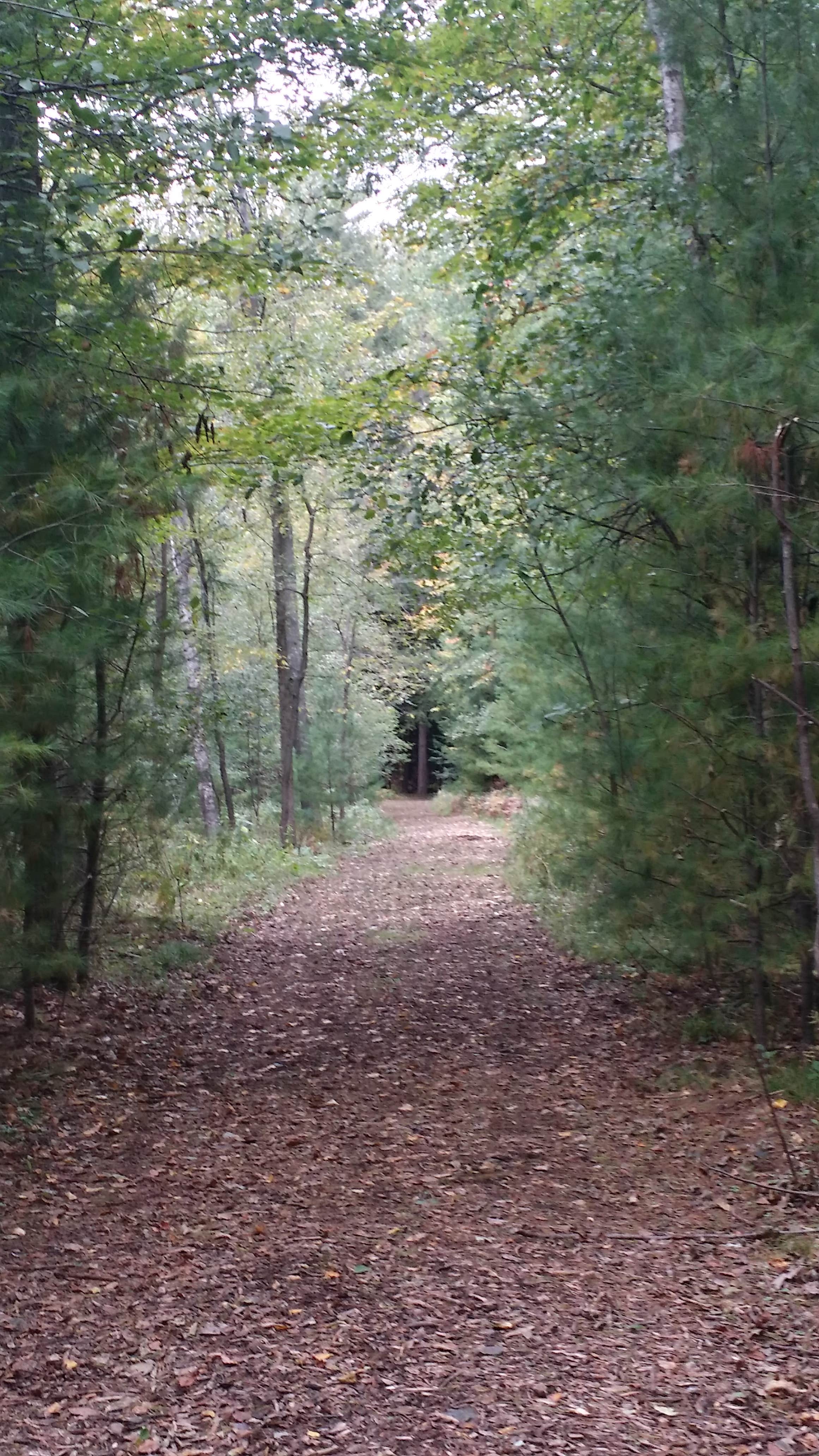 Camper submitted image from Marinette City Park - 5