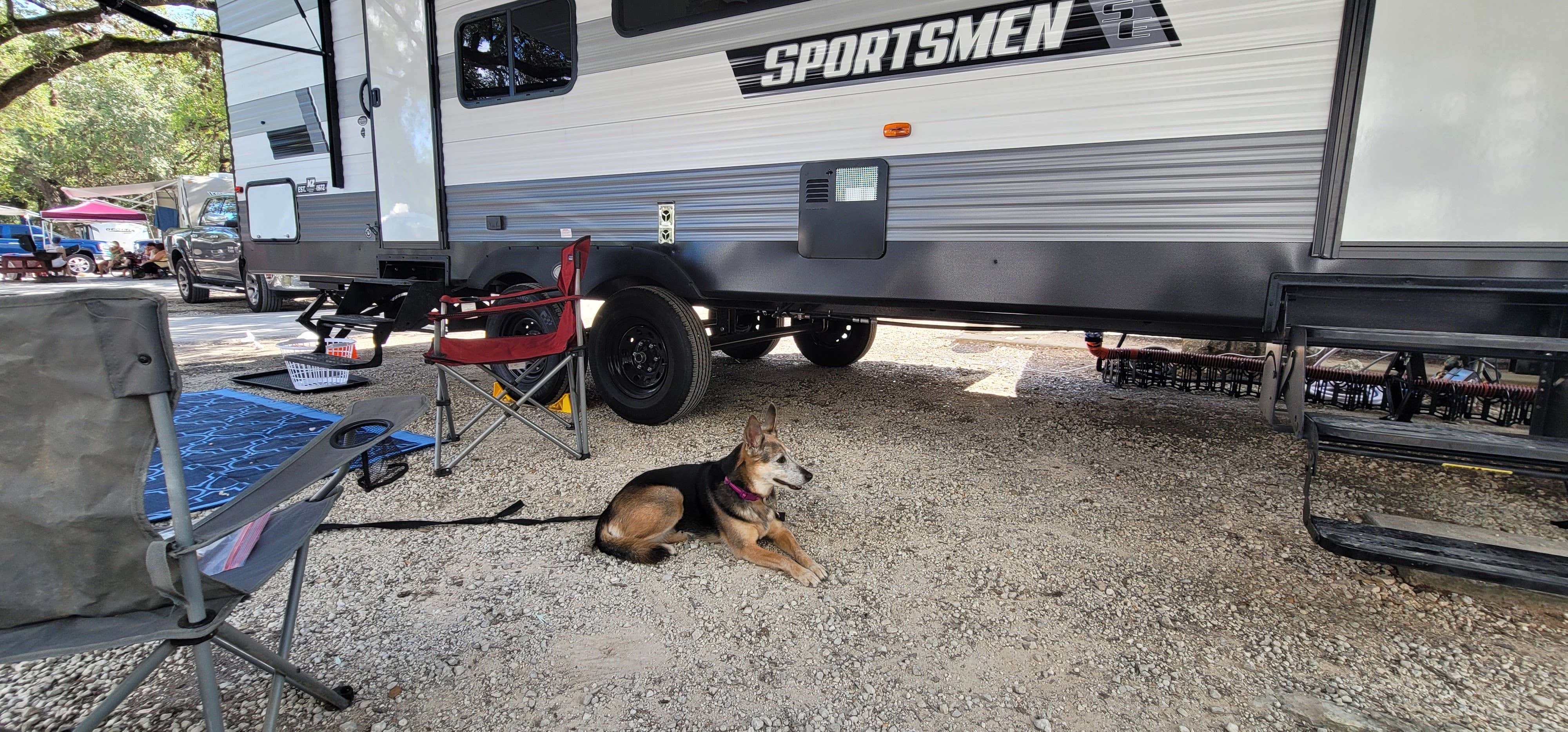Tyler's photo of camping with pets at Yogi Bear's Jellystone Park™ Camp-Resort: Canyon Lake near Canyon Lake