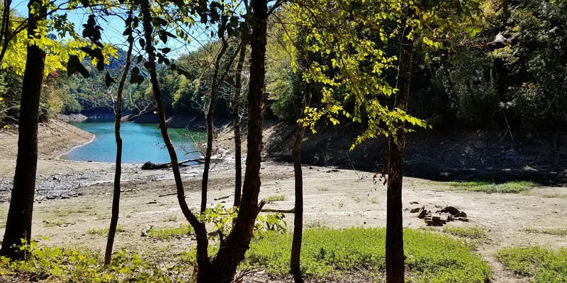 Camper submitted image from Site 67 — Great Smoky Mountains National Park