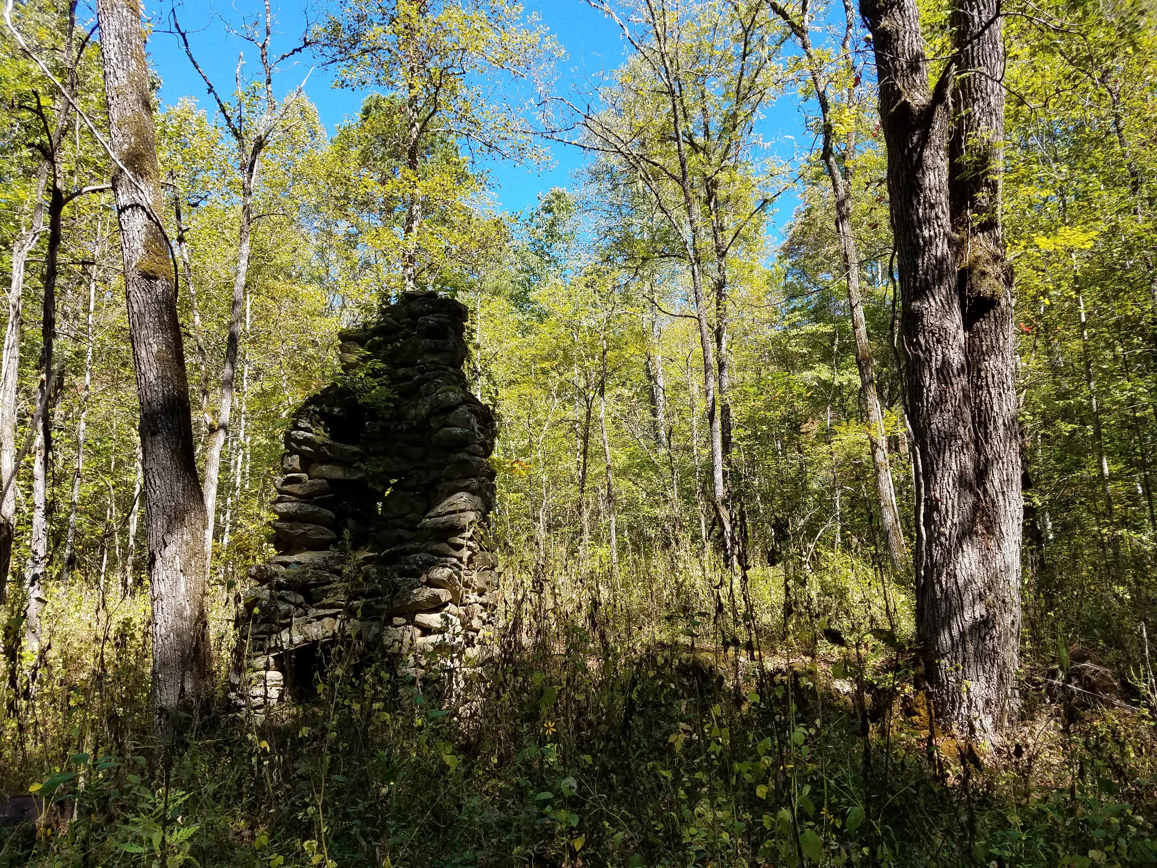 Camper submitted image from Site 67 — Great Smoky Mountains National Park - 2