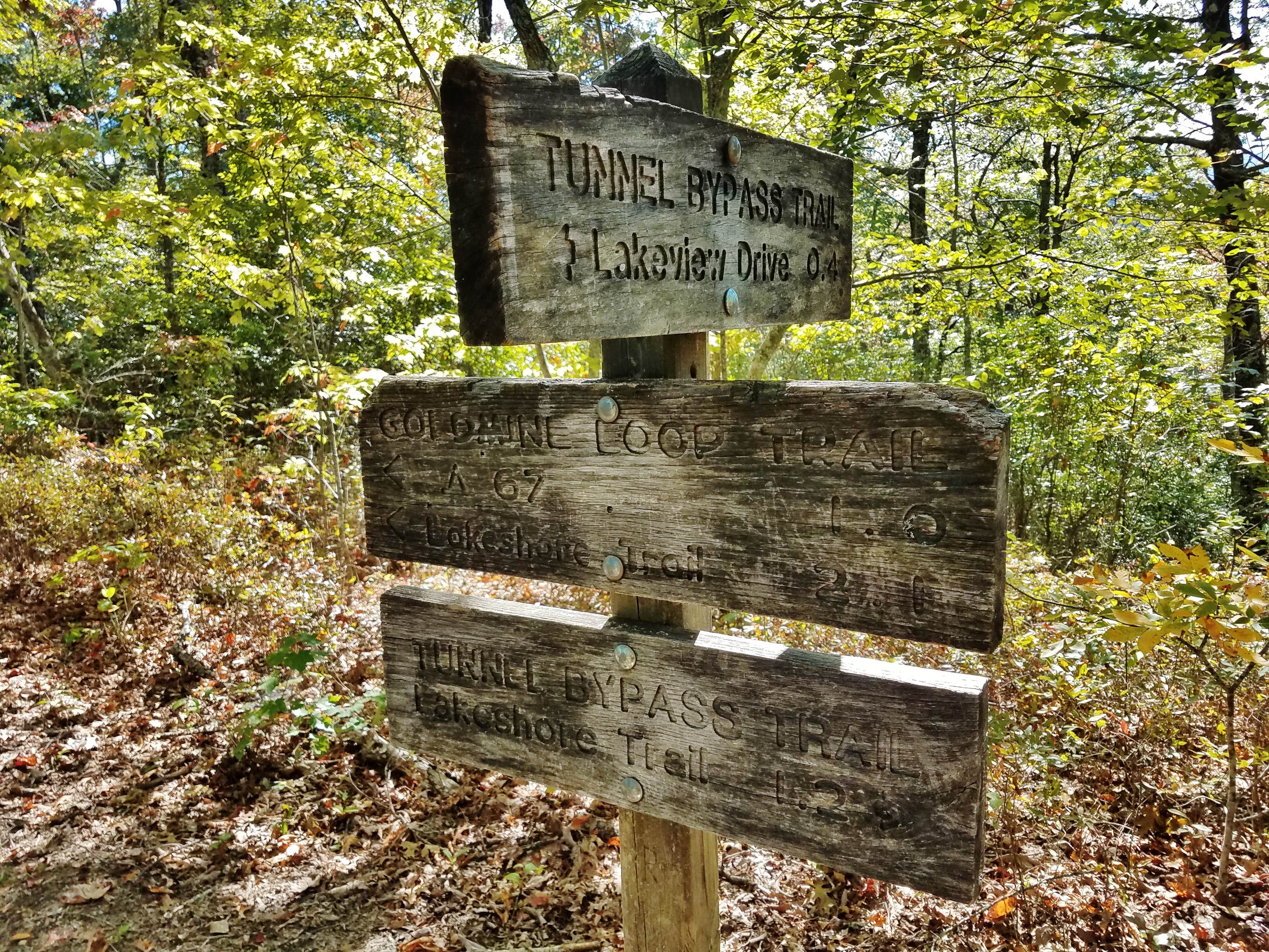 Camper-submitted photo at Site 67 — Great Smoky Mountains National Park near Bryson City, NC