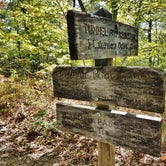 Review photo of Site 67 — Great Smoky Mountains National Park by Myron C., October 1, 2021