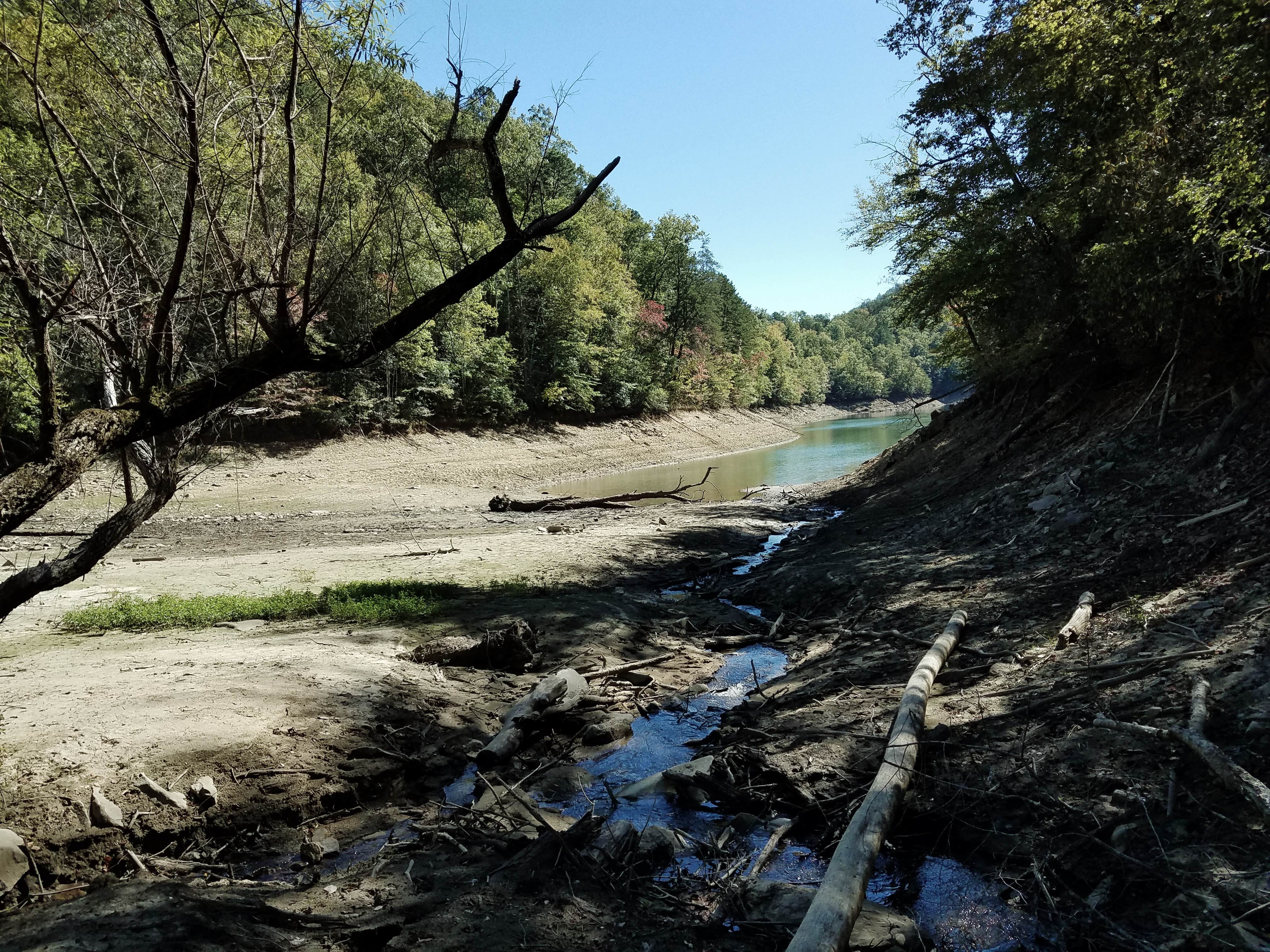Camper-submitted photo at Site 67 — Great Smoky Mountains National Park near Bryson City, NC