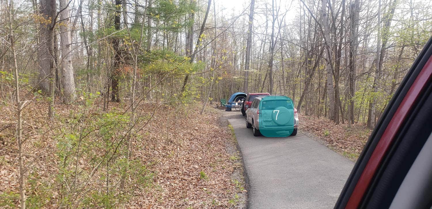 Jean C.'s photo of rv camping at Seneca Shadows near Cabins, WV